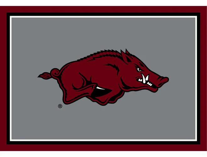 Imperial USA NCAA Team Spirit Rugs - Image 18