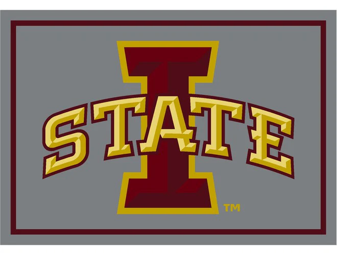 Imperial USA NCAA Team Spirit Rugs - Image 21