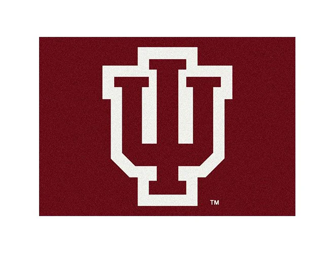 Imperial USA NCAA Team Spirit Rugs - Image 4