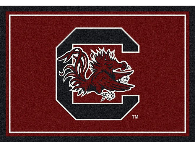 Imperial USA NCAA Team Spirit Rugs - Image 7